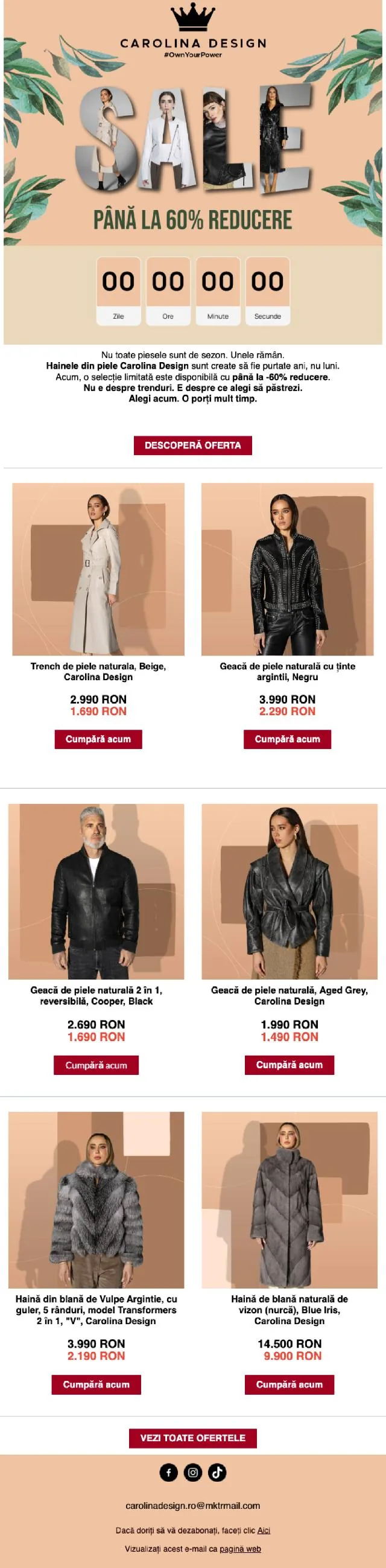 Newsletter Carolina Design