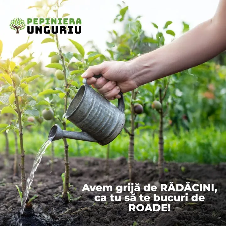 Postare Pepiniera Unguriu — campanie de brand